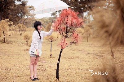 mangoshop-chut-pha-cach-khi-hue-vao-thu