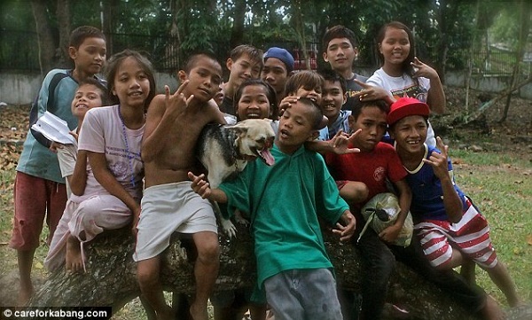 Dũng cảm cứu hai bé gái, chú chó bị "mất mõm" Dũng cảm cứu hai bé gái, chú chó bị "mất mõm"