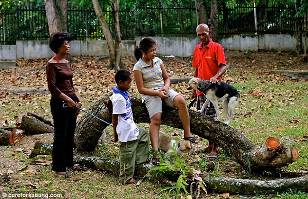 Dũng cảm cứu hai bé gái, chú chó bị "mất mõm" Dũng cảm cứu hai bé gái, chú chó bị "mất mõm"