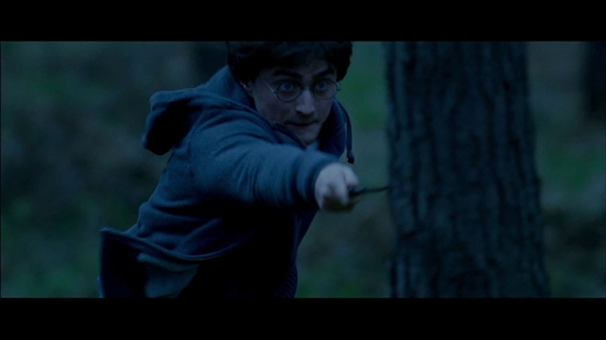 dhteaser_harrywithwand.jpg