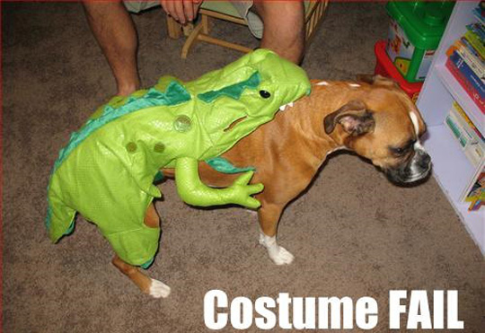 dog-costume-2.jpg