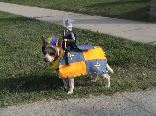 dog-costume-5.jpg
