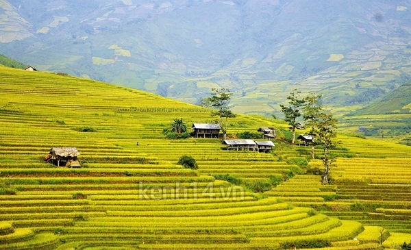 Nhật kí chuyến phượt Mù Cang Chải của một cô gái