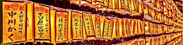Đến Nhật Bản ngắm “thiên đường ánh sáng” mê ly 20