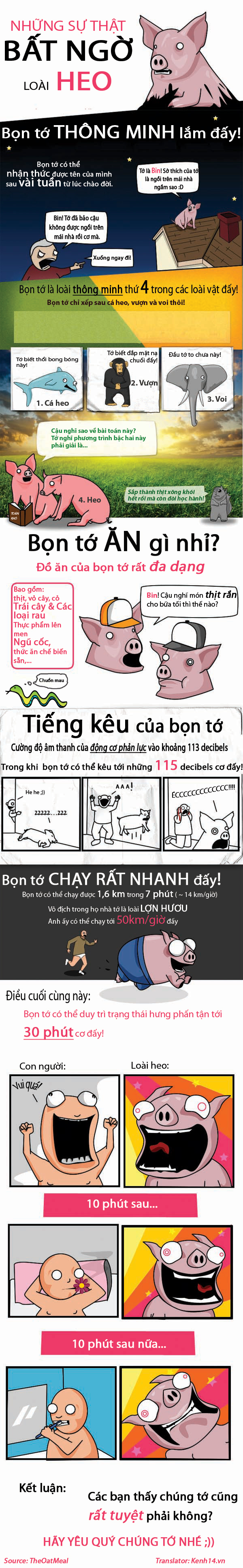 kha-nang-sieu-pham-hon-nguoi-cua-loai-heo