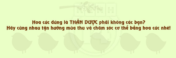 da-dep-rang-ngoi-cung-3-hoa-than-cua-hoa-cuc