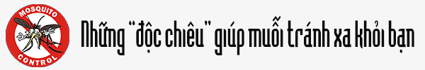 Thuốc chống muỗi tự chế an toàn mà hiệu quả