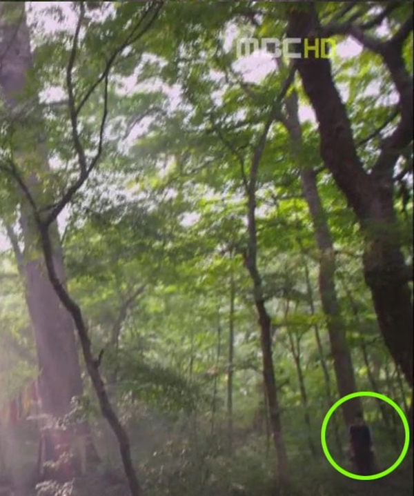 bat-gio-phim-ma-co-trang-han