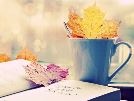 Lời thầy dạy thuở ấy&hellip; 1