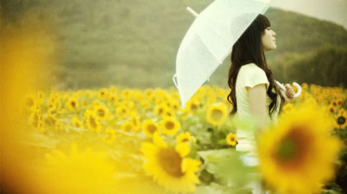 Em sẽ đợi anh về 1