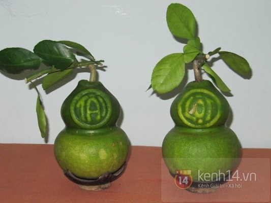 Săn quà tết với giá hàng chục triệu đồng 14