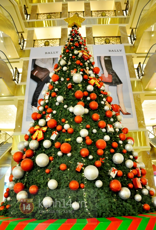 Cận cảnh những cây thông Noel khổng lồ ở Hà Nội  6