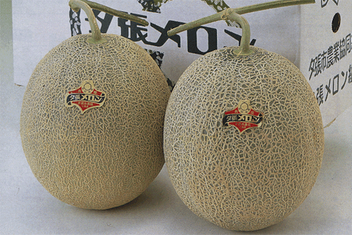 T&igrave;m hiểu k&iacute;ch thước ngực của phụ nữ Nhật Bản 4