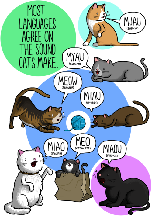 Tiếng kêu của động vật khác nhau thế nào qua các ngôn ngữ