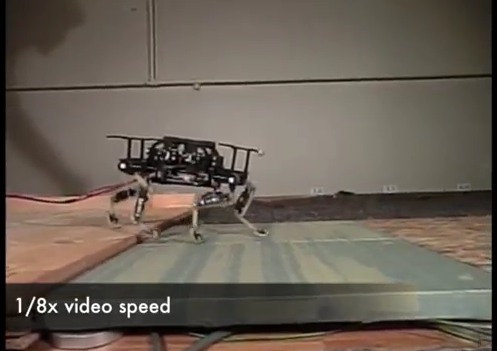 Thụy Sĩ chế tạo th&agrave;nh c&ocirc;ng... robot "m&egrave;o" 5
