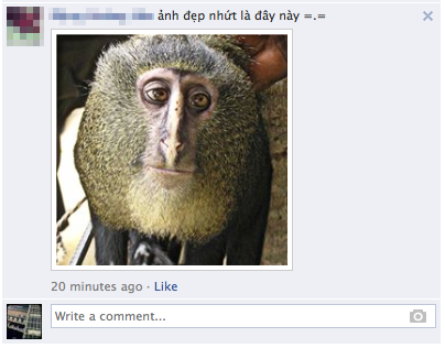 Trào lưu comment bằng ảnh tràn ngập Facebook 6
