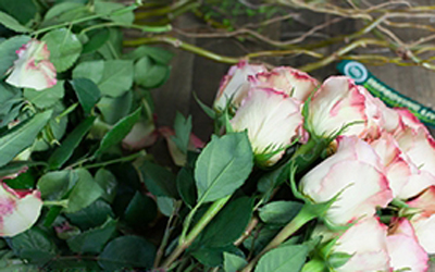 Bí kíp cắm hoa cho con trai: 4 bước có bình hoa hồng xinh 1
