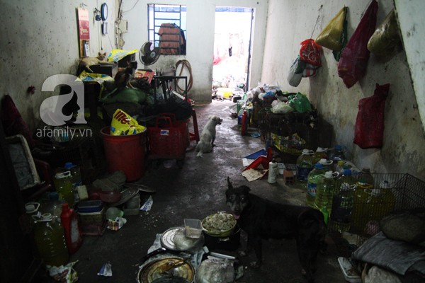 Ghé thăm ngôi nhà của cụ bà cưu mang hơn 50 chú chó, mèo bị bỏ rơi giữa Sài Gòn 3