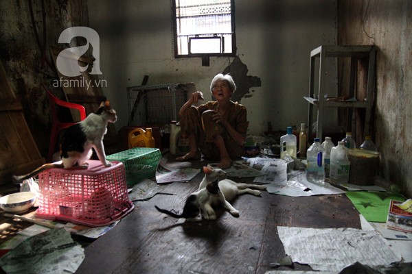 Ghé thăm ngôi nhà của cụ bà cưu mang hơn 50 chú chó, mèo bị bỏ rơi giữa Sài Gòn 22