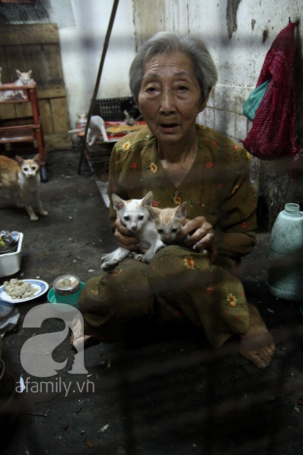 Ghé thăm ngôi nhà của cụ bà cưu mang hơn 50 chú chó, mèo bị bỏ rơi giữa Sài Gòn 12
