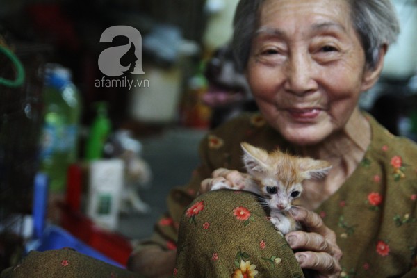 Ghé thăm ngôi nhà của cụ bà cưu mang hơn 50 chú chó, mèo bị bỏ rơi giữa Sài Gòn 5