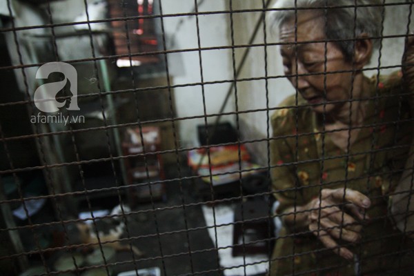 Ghé thăm ngôi nhà của cụ bà cưu mang hơn 50 chú chó, mèo bị bỏ rơi giữa Sài Gòn 9