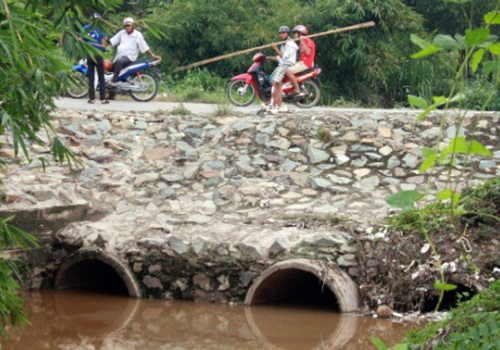 2 địa điểm thơ mộng nhưng nguy hiểm trong làng đại học TP.HCM 16