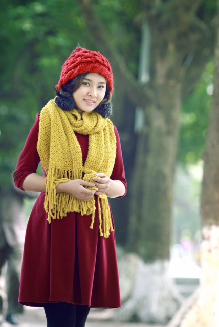 Những sản phẩm mừng Gi&aacute;ng sinh 2013 từ Vpop 5