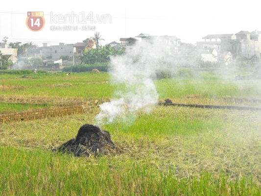 dan-ha-noi-lai-duoc-hun-nong-bang-rom