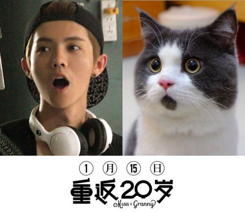 Loạt ảnh "cute" so Luhan với chú mèo gây bão cộng đồng mạng Trung Quốc 1