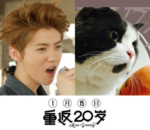 Loạt ảnh "cute" so Luhan với chú mèo gây bão cộng đồng mạng Trung Quốc 3