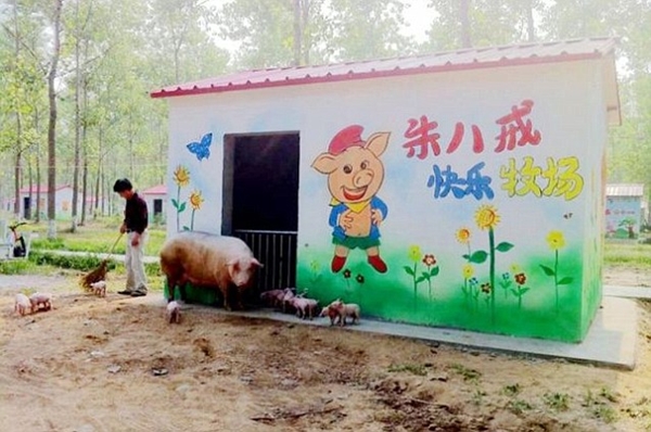 Những trang trại lợn quái đản nhất thế giới 11
