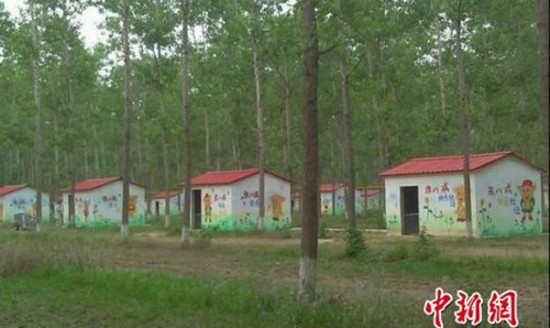 Những trang trại lợn quái đản nhất thế giới 12
