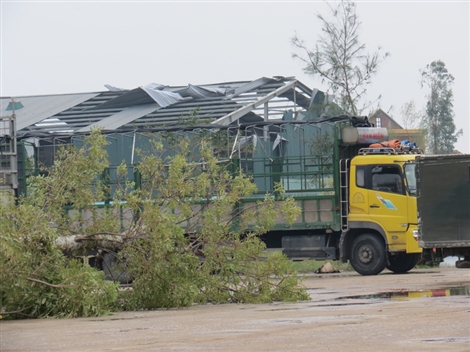 Lốc xoáy sau bão phá nát nhiều nhà dân ở Huế, Quảng Bình 5