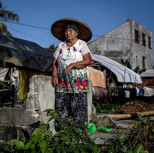 1 năm sau bão Haiyan, người dân Philippines vẫn sống trong khổ sở 2