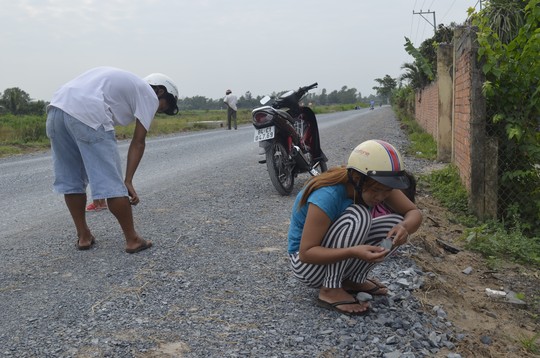 Trà Vinh: Dân đổ ra đường nhặt "vàng" 2