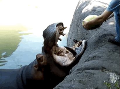 23 bức ảnh động về sự tan vỡ khiến bạn cảm thấy th&iacute;ch th&uacute; đến lạ kỳ  15