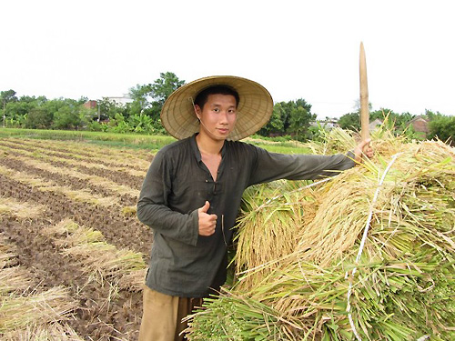 "Nếu kiện sách Huyền Chip, chắc phải kiện thêm nhiều cuốn khác" 4