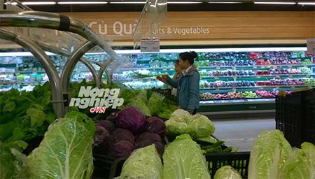 Hàng loạt siêu thị lớn Hà Nội "bị lừa" bán rau không rõ nguồn gốc 6