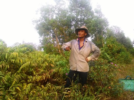 "Trực thăng bay loạng choạng rồi ch&uacute;i xuống đất" 2