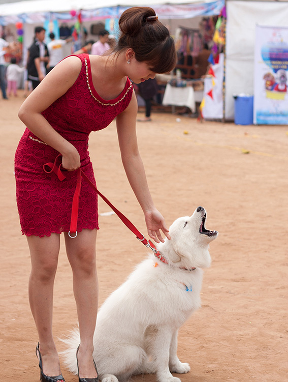 Hà Nội tưng bừng hội chợ cún yêu lần đầu tiên 2
