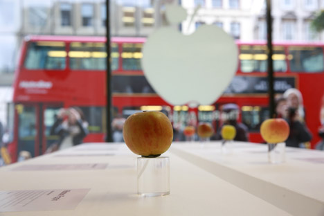 Gh&eacute; thăm Apple Store trưng b&agrave;y... 1.000 quả t&aacute;o 2