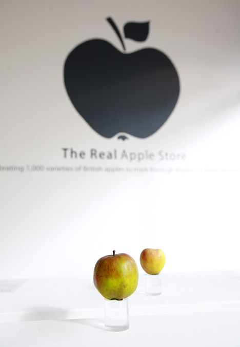 Ghé thăm Apple Store trưng bày... 1.000 quả táo 3