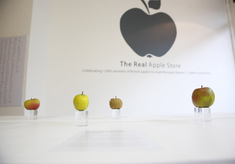 Gh&eacute; thăm Apple Store trưng b&agrave;y... 1.000 quả t&aacute;o 4