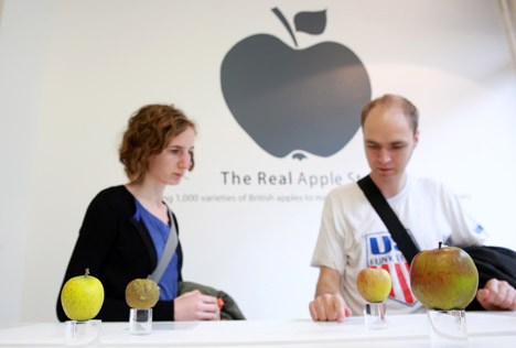 Ghé thăm Apple Store trưng bày... 1.000 quả táo 8