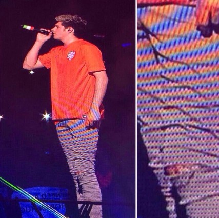 Fan ném chảy máu chân Niall (One Direction) trên sân khấu 4
