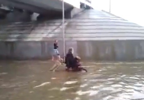 Chú chó đẩy xe lăn cho chủ giữa tuyến đường ngập lụt 1