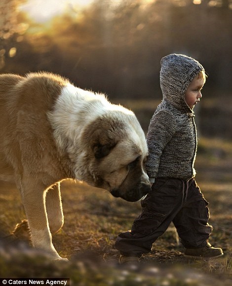 Bộ ảnh tuyệt đẹp của 2 cậu bé bên những loài động vật dễ thương  7