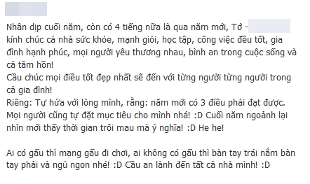 Cư dân mạng nhộn nhịp status tiễn năm cũ, đón năm mới 11