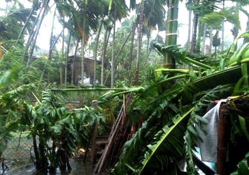 Cập nhật bão số 11: Đà Nẵng - Huế tả tơi trong tâm bão 29